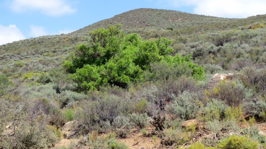 Commercial Property for Sale in Worcester Rural Western Cape